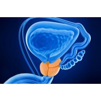 Suplimente alimentare pentru prostata si menopauza